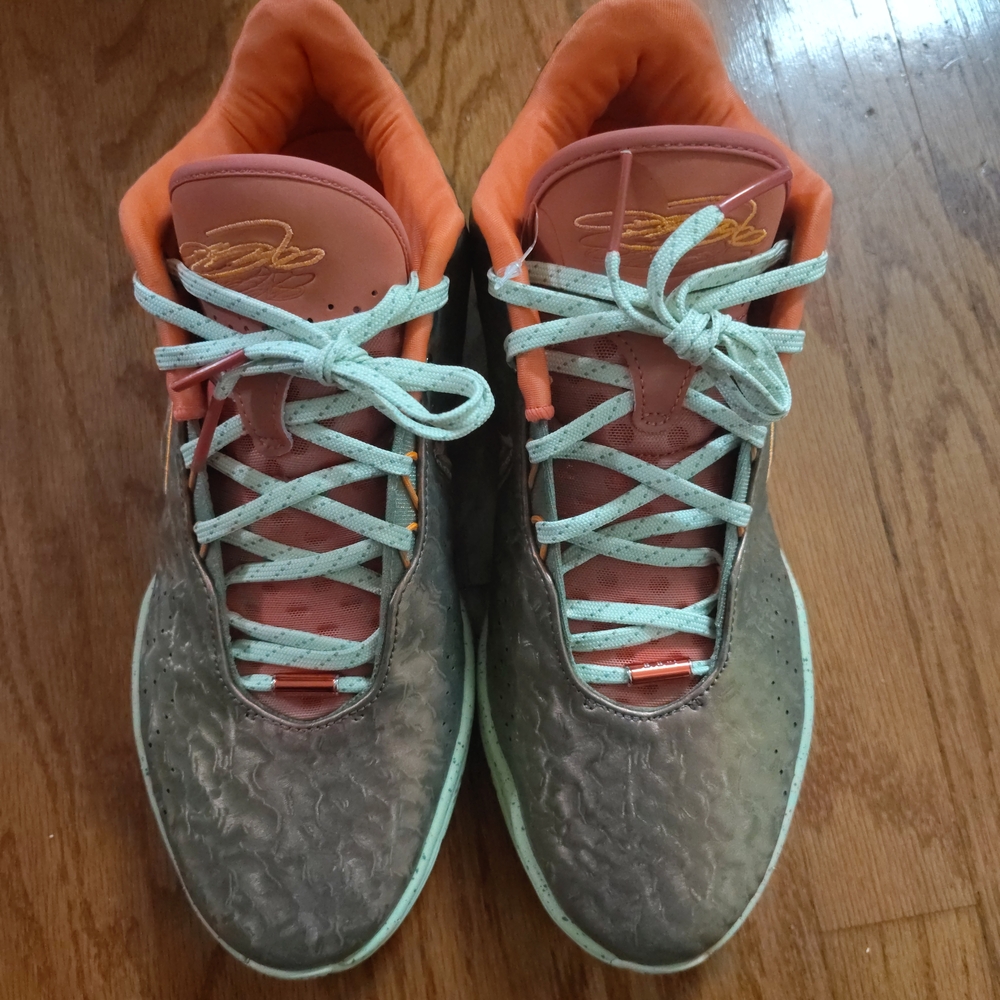 Nike LeBron XXI